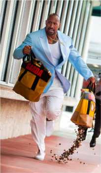 pain-gain-dwayne-johnson